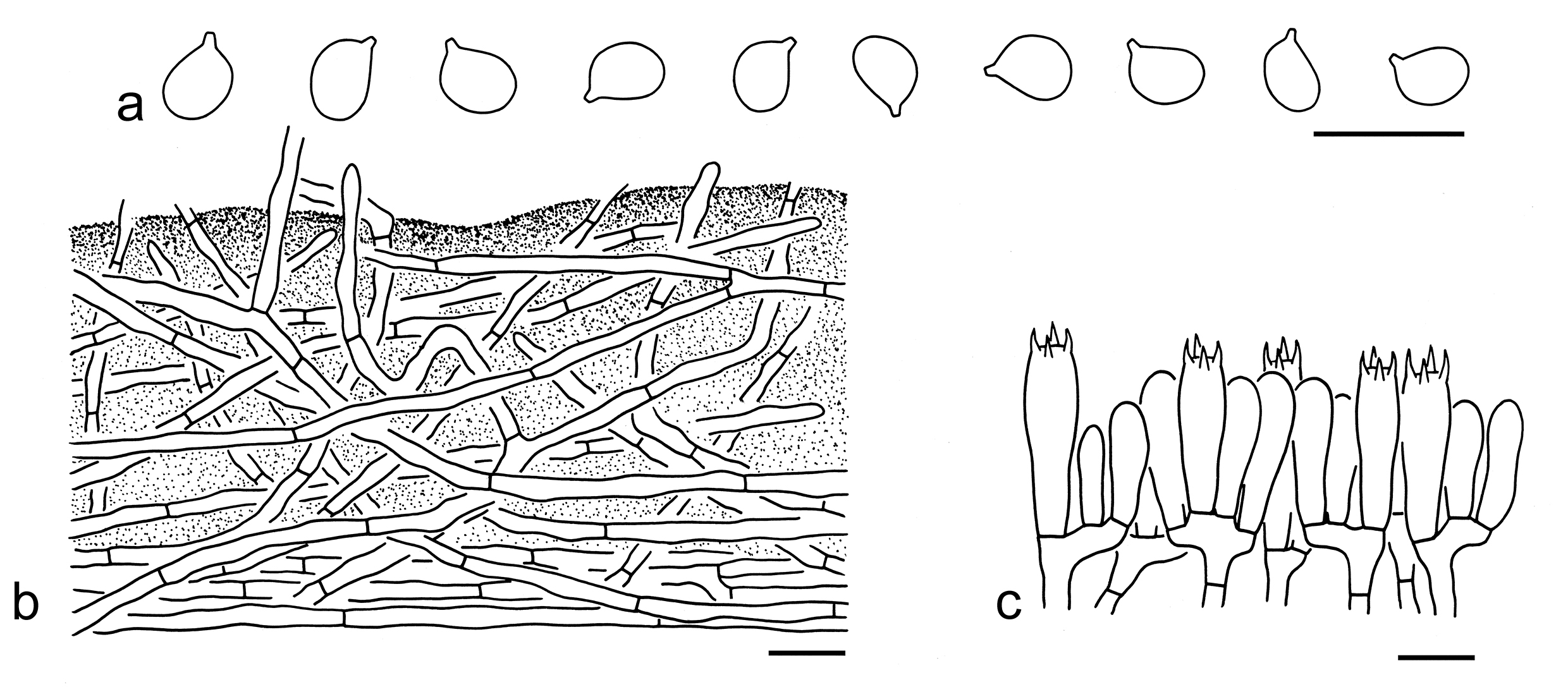Figure 56
